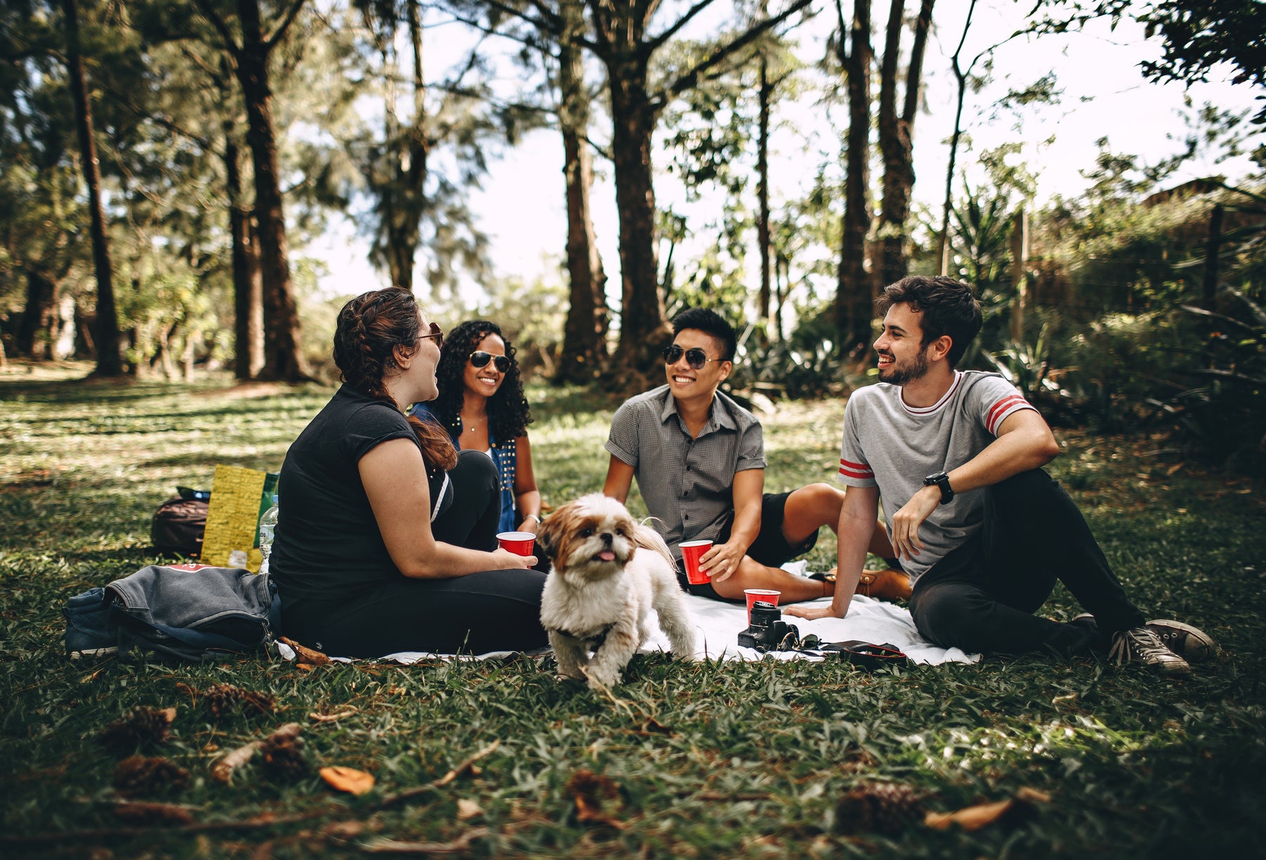Safety Tips For Camping With Your Pet