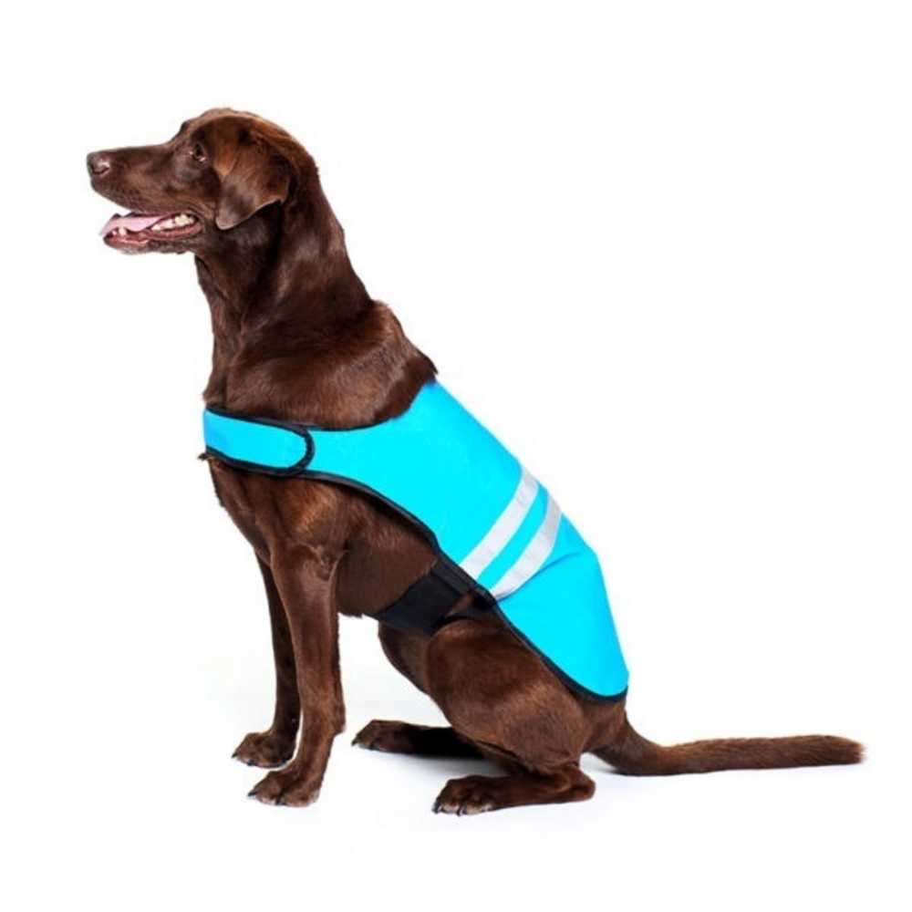 ZippyPaws Adventure Gear Blue Cooling Dog Vest - Serving 33