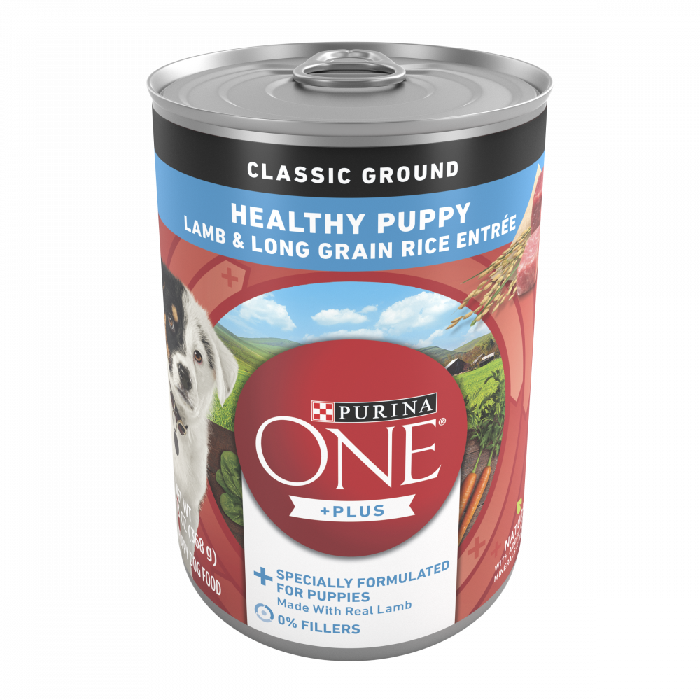 Purina ONE SmartBlend Classic Healthy Puppy Ground Lamb & Long