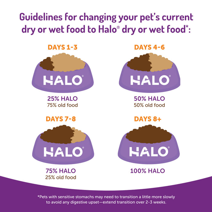 Halo Kitten Grain Free Chicken Recipe Pate Canned Cat Food
