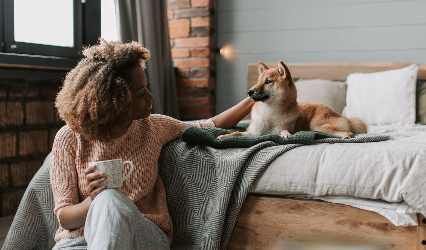 Healthy Habits for Pets - Starting the New Year Right