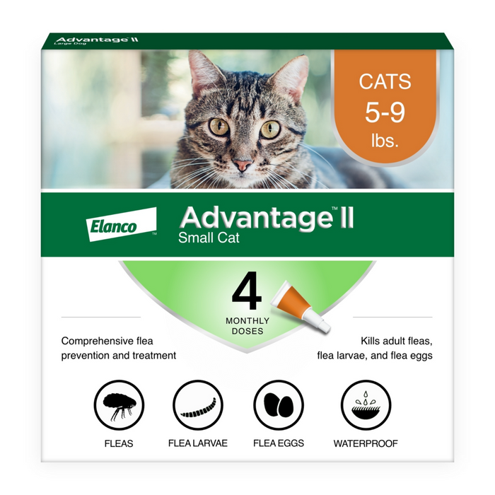 Instant flea killer for cats hotsell