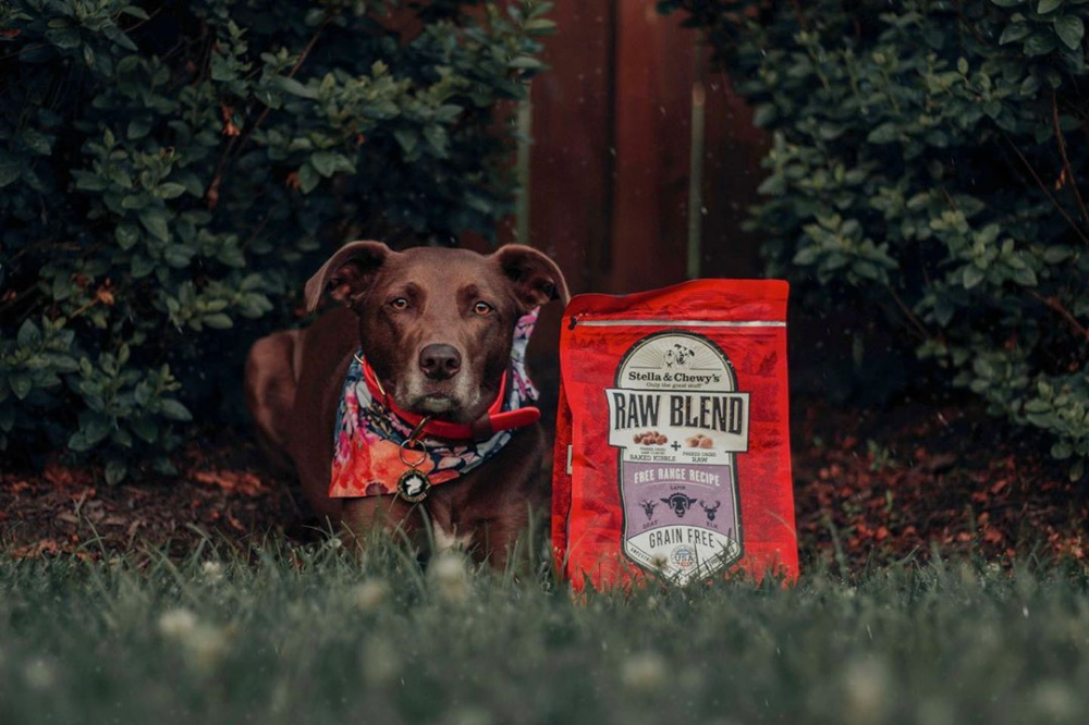 Stella & Chewy's Raw Blend Kibble Free Range Recipe Dry Dog Food