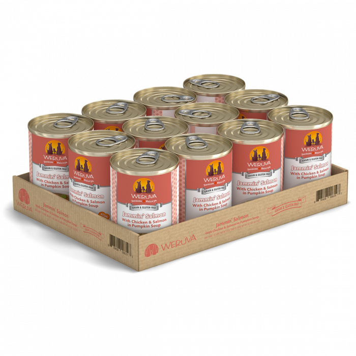 Weruva Jammin Salmon with Chicken & Salmon in Pumpkin Soup Canned Dog Food