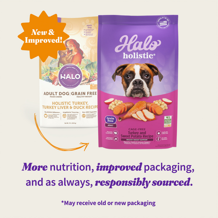 Halo Holistic Complete Digestive Health Grain Free Turkey and Sweet Potato Dog Food Recipe Adult Dry Dog Food