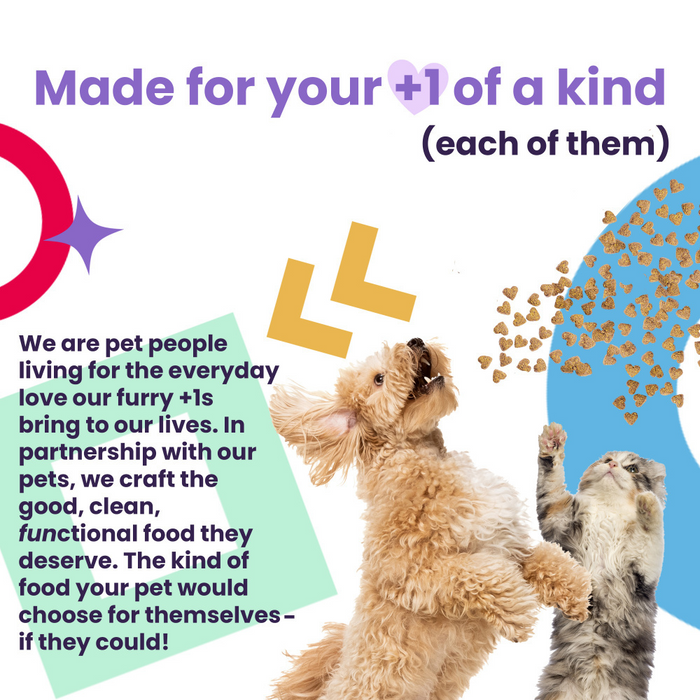 I and Love and You Grain Free Nude Super Food Red Meat Medley Dry Dog Food