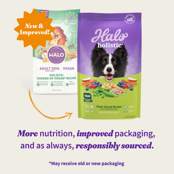 Halo Holistic Adult Dog Vegan Plant Based Recipe with Superfoods Dry D Concord Pet Foods Supplies Delaware Pennsylvania New Jersey Maryland