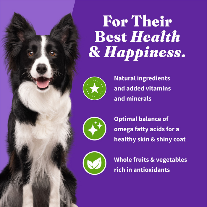 Holistic dog diet recipes best sale