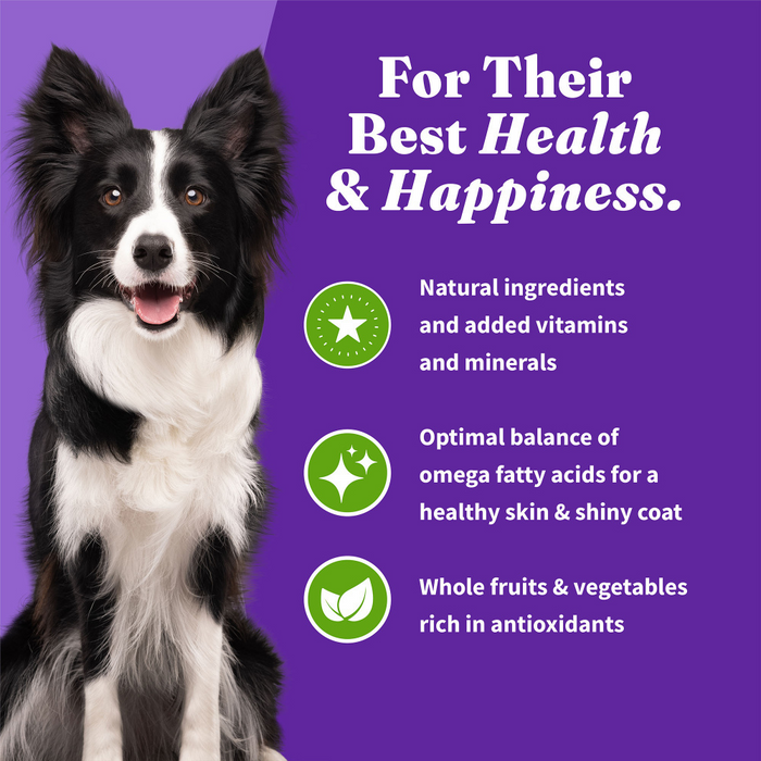 Holistic dog diet recipes clearance