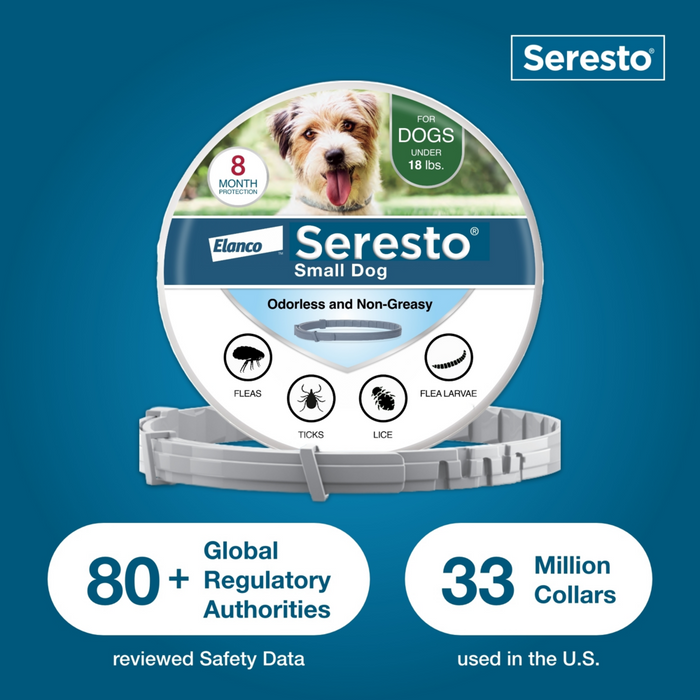 Bayer animal health seresto flea and tick collar for small dogs hotsell