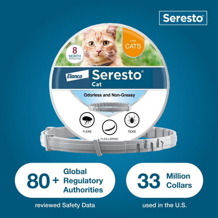 Bayer seresto cat hotsell