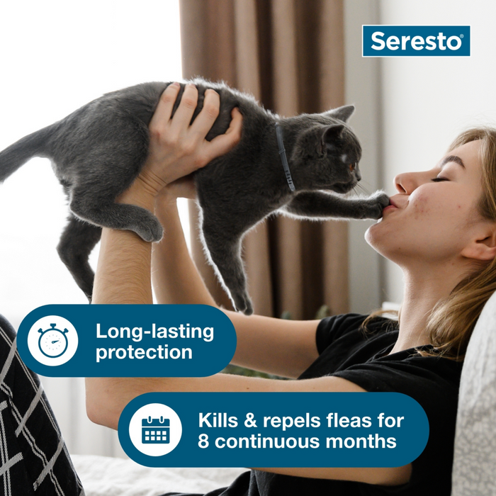 Bayer seresto flea and tick collar for cats best sale