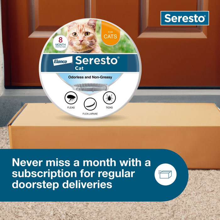 Bayer seresto for cats hotsell