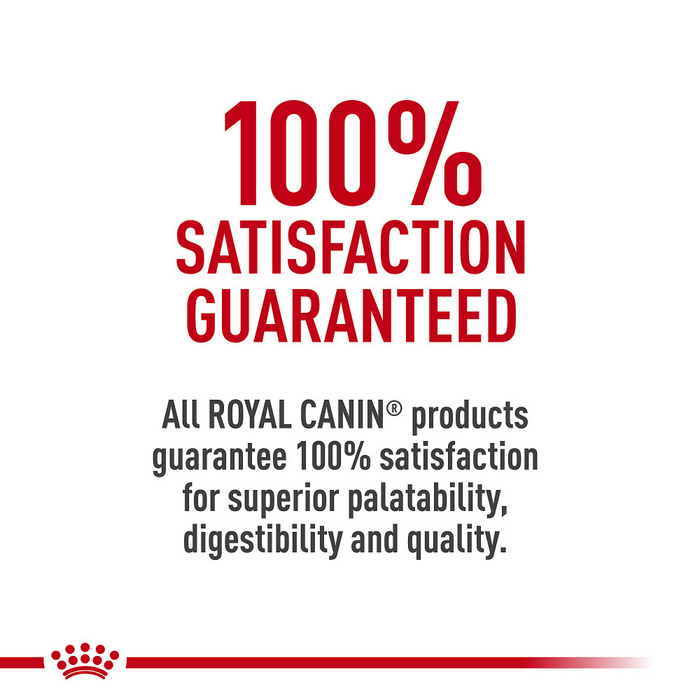 Royal Canin Feline Health Nutrition Indoor Adult Dry Cat Food