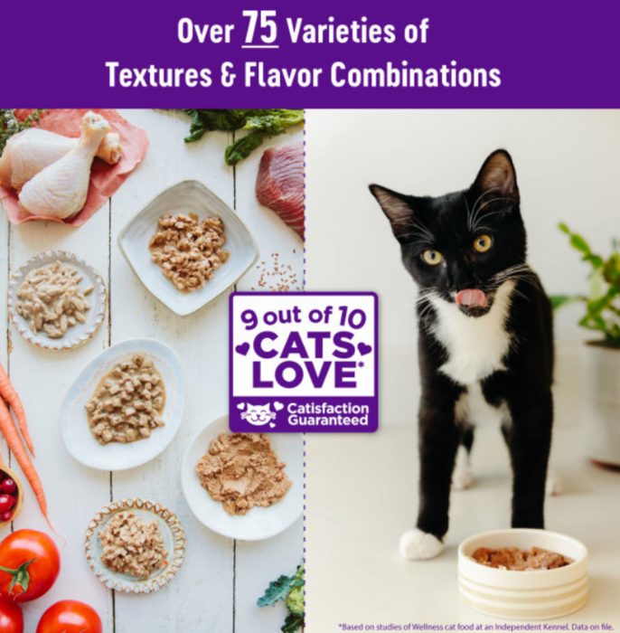 Naturally Healthy Best Healthy Wet Cat Food Naturally Healthy