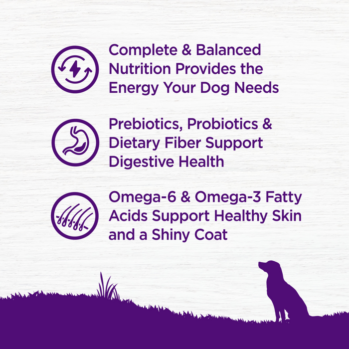 Wellness Complete Health Natural Chicken Recipe Dry Dog Food