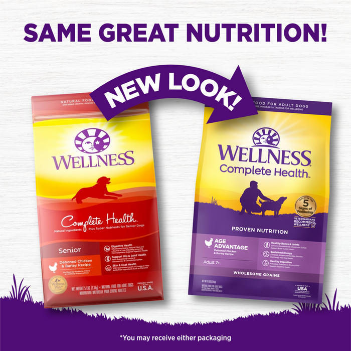 Wellness Complete Health Natural Senior Health Chicken Recipe Dry Dog Food