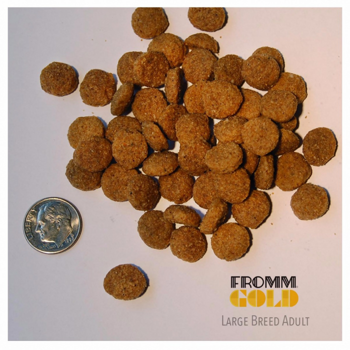 Fromm large breed dog food best sale