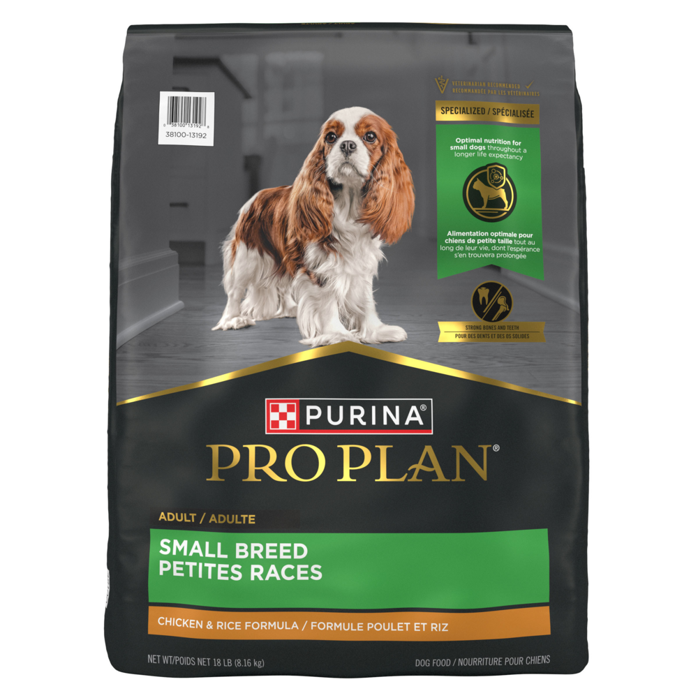 When to Feed Dog Adult Food to Cavalier: Expert Timing Tips