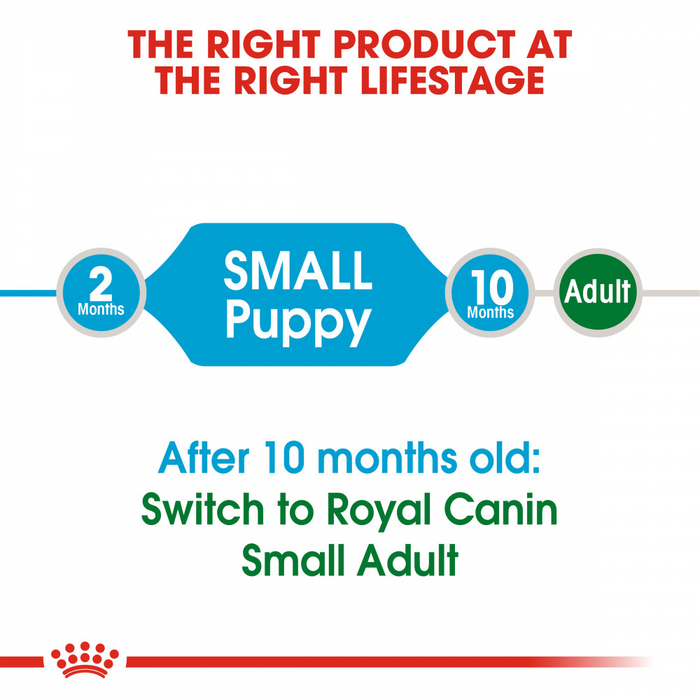 Royal Canin Small Puppy Dry Dog Food