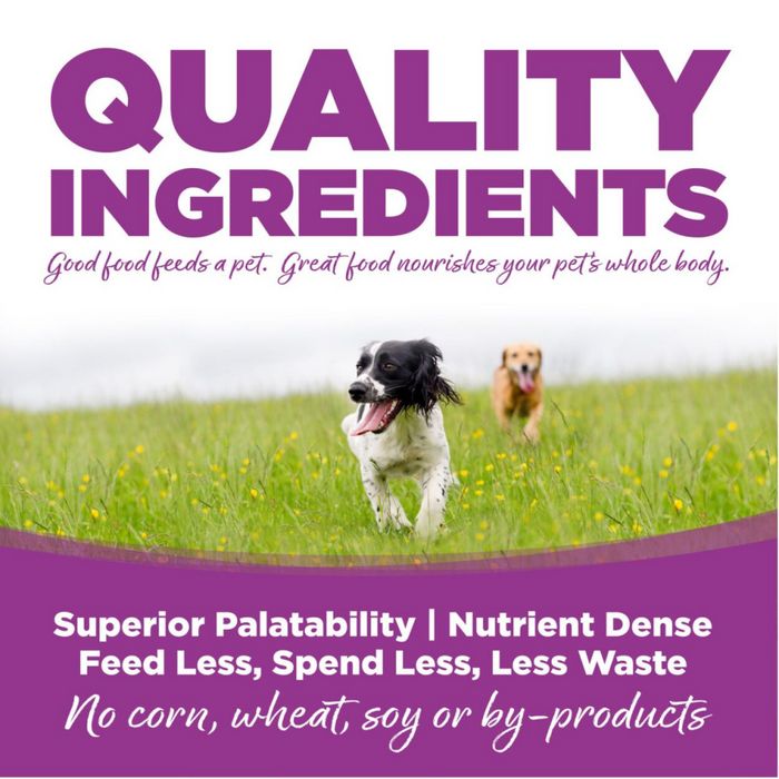 NutriSource Large Breed Puppy Chicken Rice Dry Dog Food Concord Pet Foods Supplies Delaware Pennsylvania New Jersey Maryland