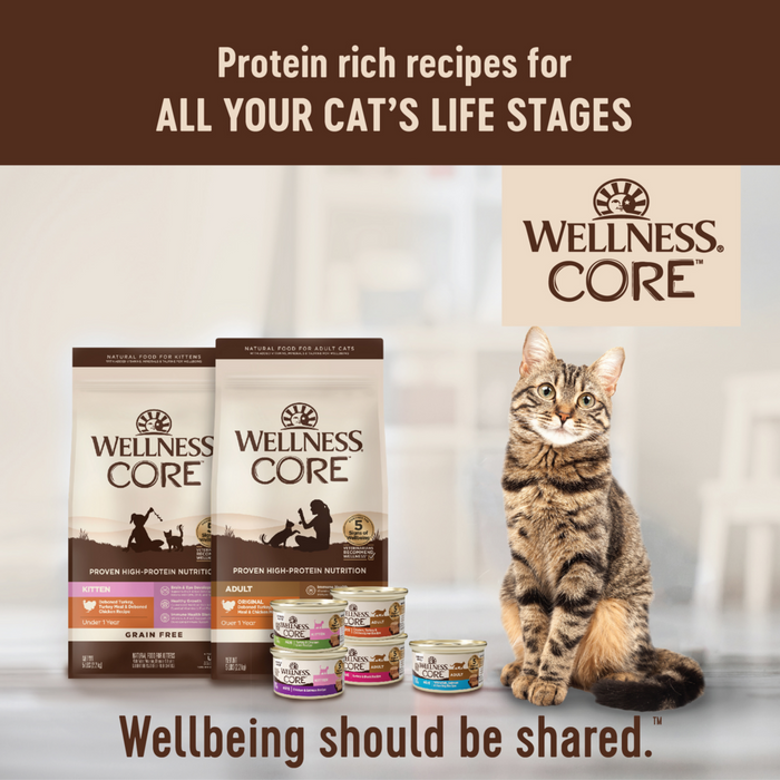 Wellness CORE Grain Free Natural Turkey Turkey Meal and Duck Dry Cat Concord Pet Foods Supplies Delaware Pennsylvania New Jersey Maryland