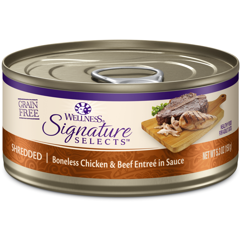 Grain free cat food canned best sale