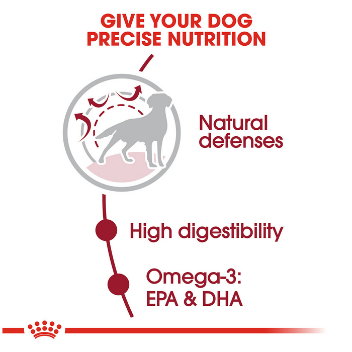 Royal Canin Size Health Nutrition Medium Adult Dry Dog Food Concord Pet Foods Supplies Delaware Pennsylvania New Jersey Maryland