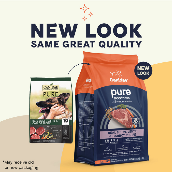 Lentil dog food best sale