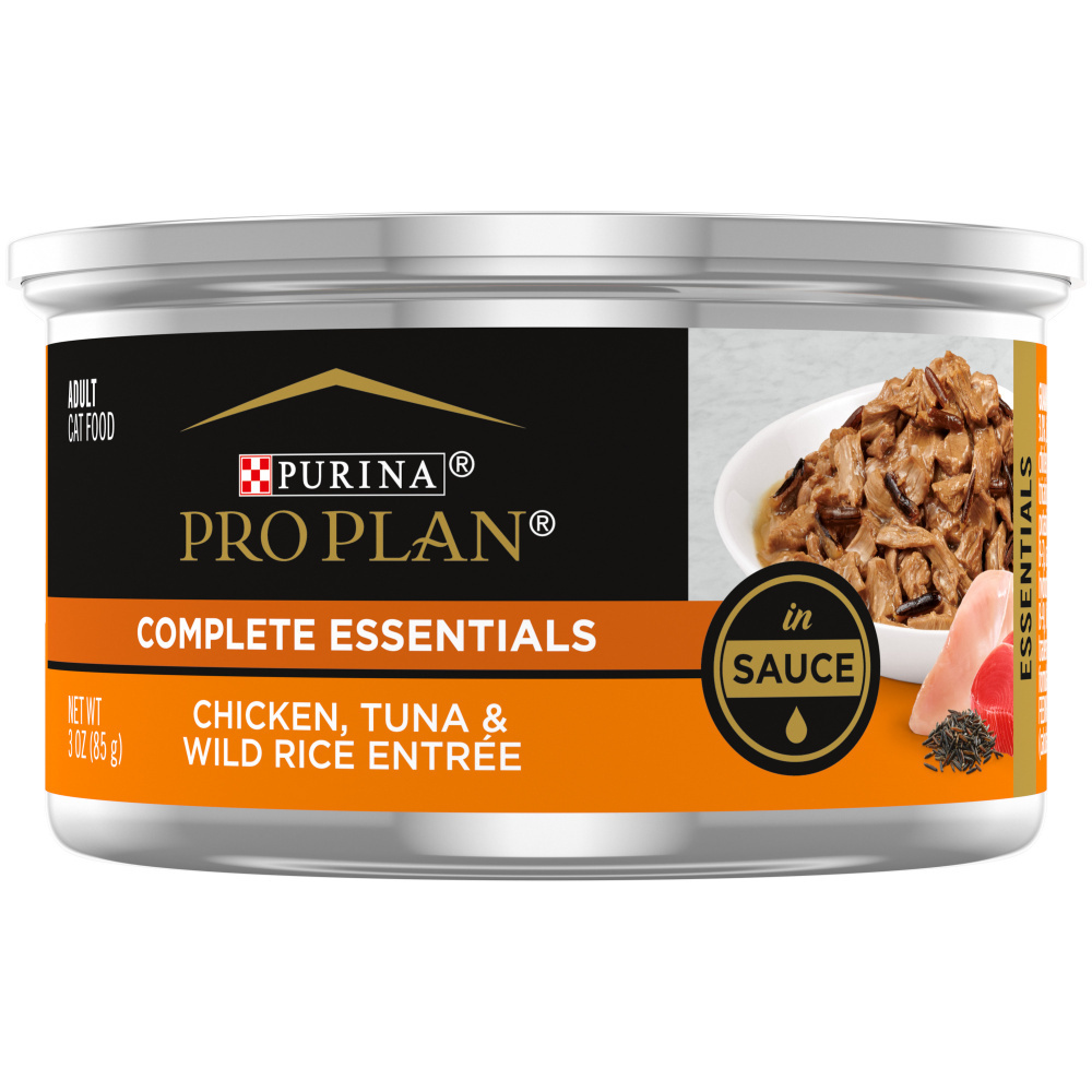 Is Wet Food Essential for Cats Health: Unveiling the Truth