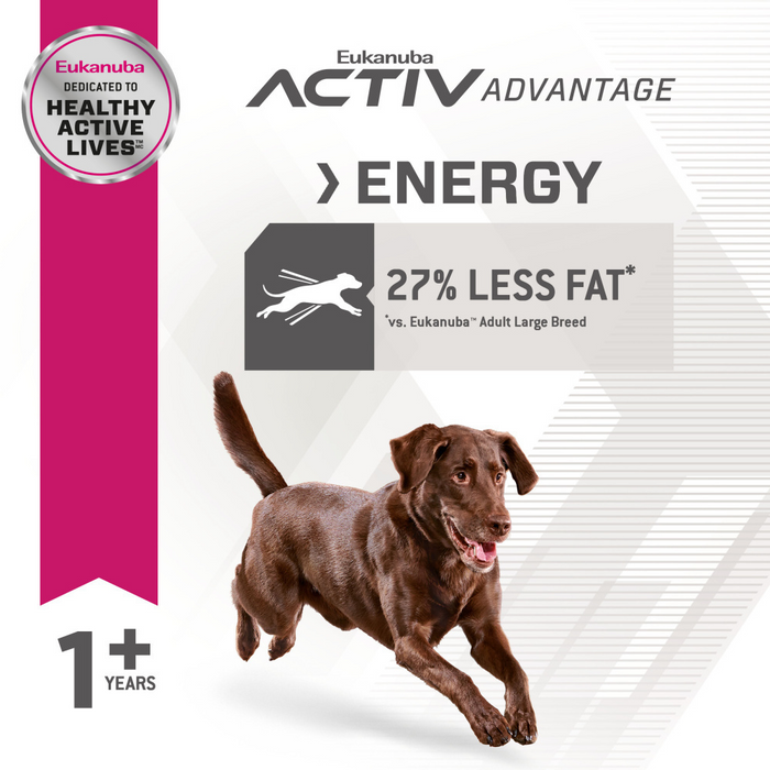 Eukanuba active adult large breed best sale