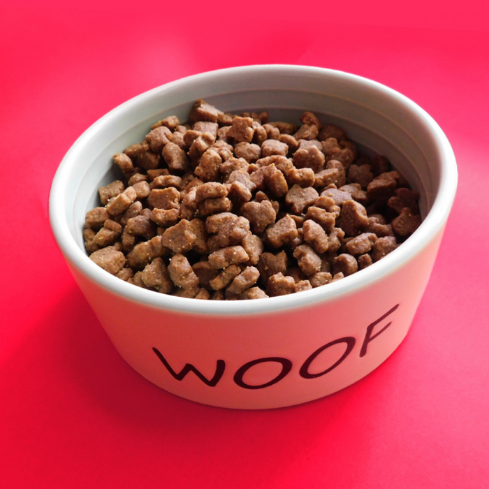 Duckenpfeffer Dry Cat Fromm Hasen Duckenpfeffer Cat Food Fromm