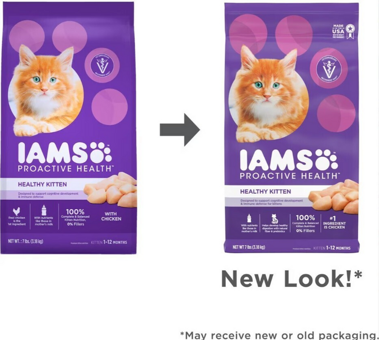 Iams ProActive Health Kitten Chicken Recipe Dry Cat Food — Concord