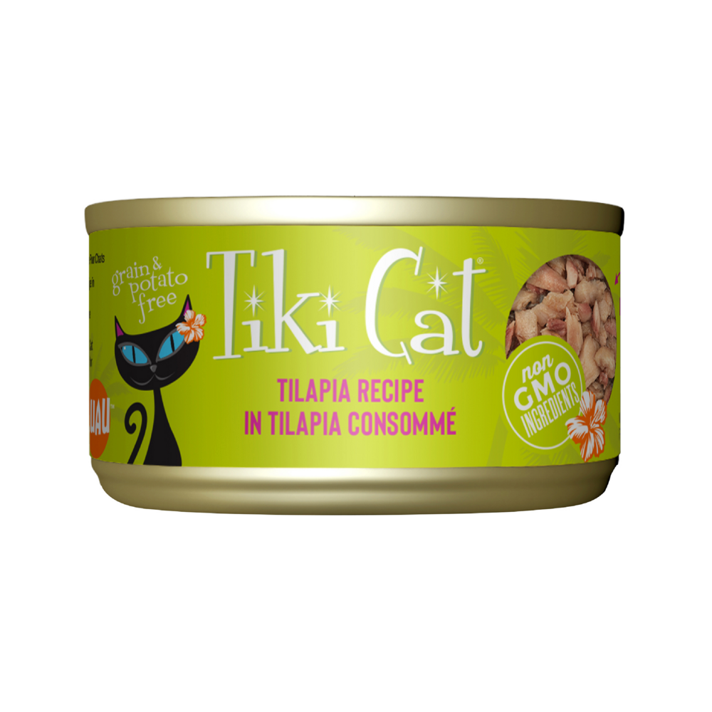 Non grain free cat food best sale