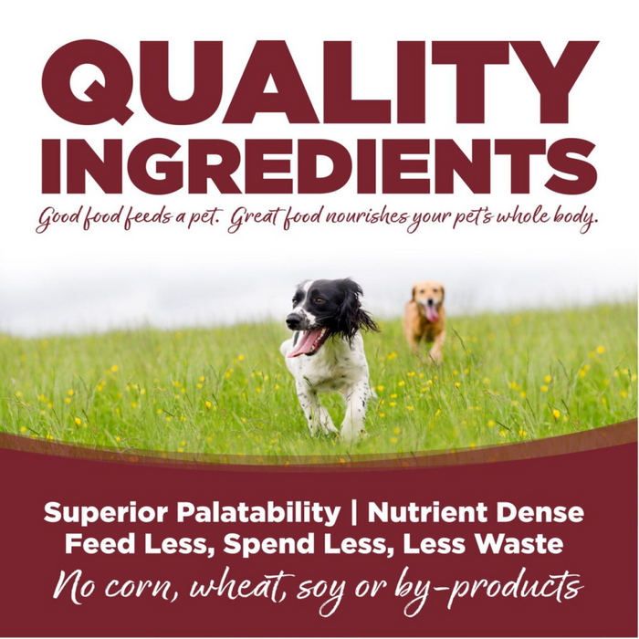 NutriSource Beef & Brown Rice Recipe Dry Dog Food