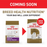 Royal Canin Breed Health Nutrition Adult Maltese Dry Dog Food