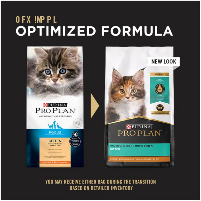 Purina pro plan focus kitten food best sale