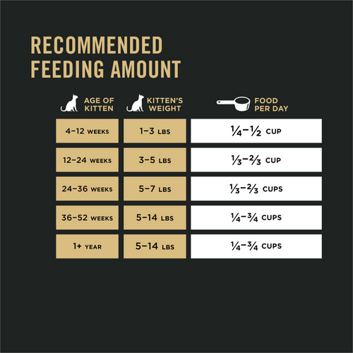 Purina Pro Plan Focus Chicken & Rice Formula Kitten Dry Cat Food