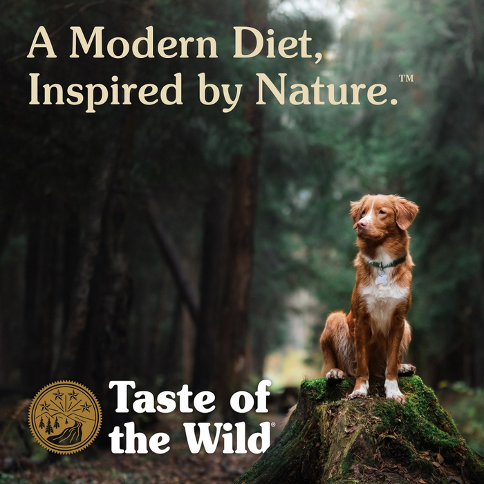 Taste of the Wild Ancient Mountain with Ancient Grains Dry Dog Food