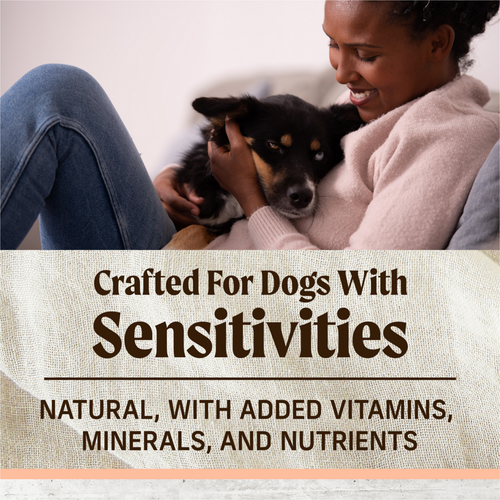 Merrick Limited Ingredient Diet Dry Dog Food Real Salmon & Brown Rice Recipe with Healthy Grains