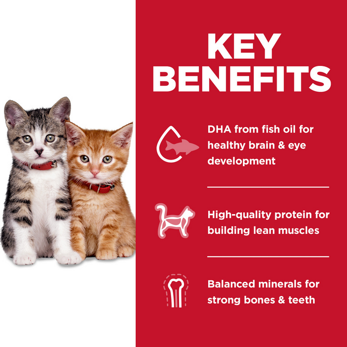 Hill's Science Diet Kitten No Corn, Wheat, or Soy Chicken & Brown Rice Recipe Dry Cat Food