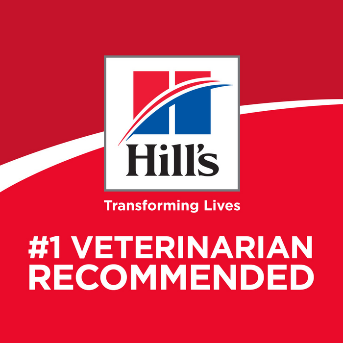 Hill's Science Diet Sensitive Stomach Skin LG Breed Adult