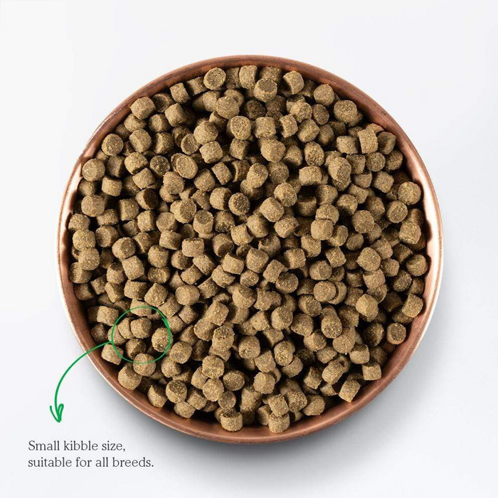 Open Farm Grass-Fed Beef & Ancient Grains Dry Dog Food