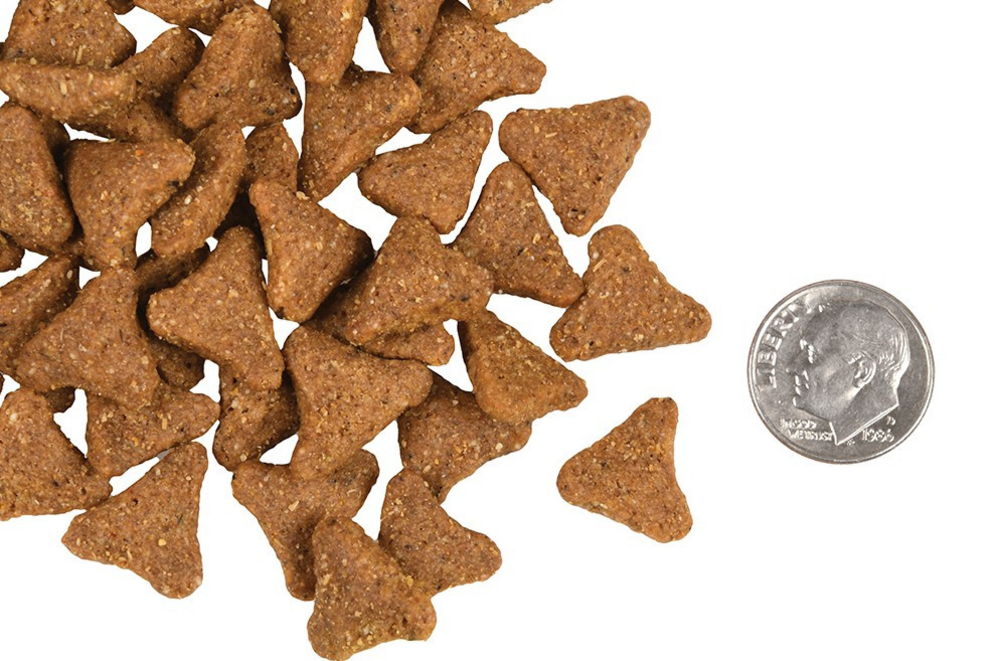 Fromm Ancient Gold Adult Dry Dog Food Concord Pet Foods Supplies Delaware Pennsylvania New Jersey Maryland