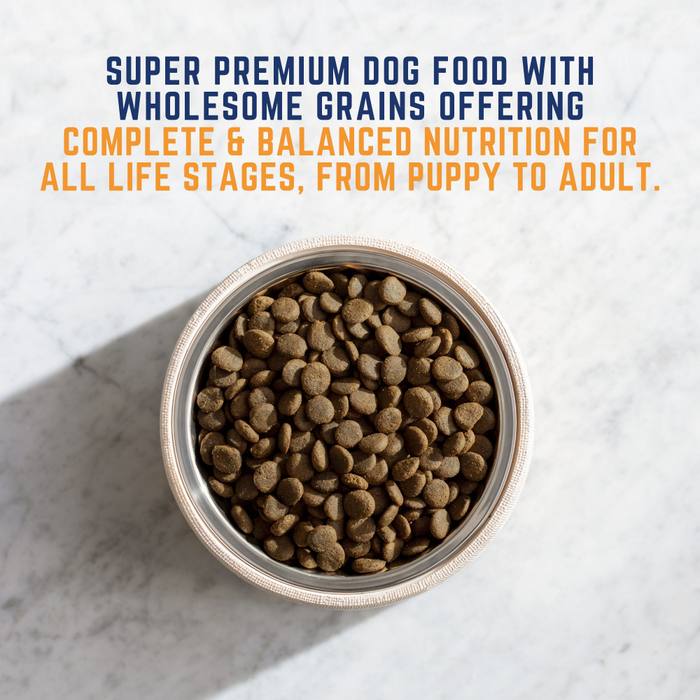 Natural Balance Original Ultra All Life Stage Chicken & Barley Small Breed Bites Recipe Dry Dog Food