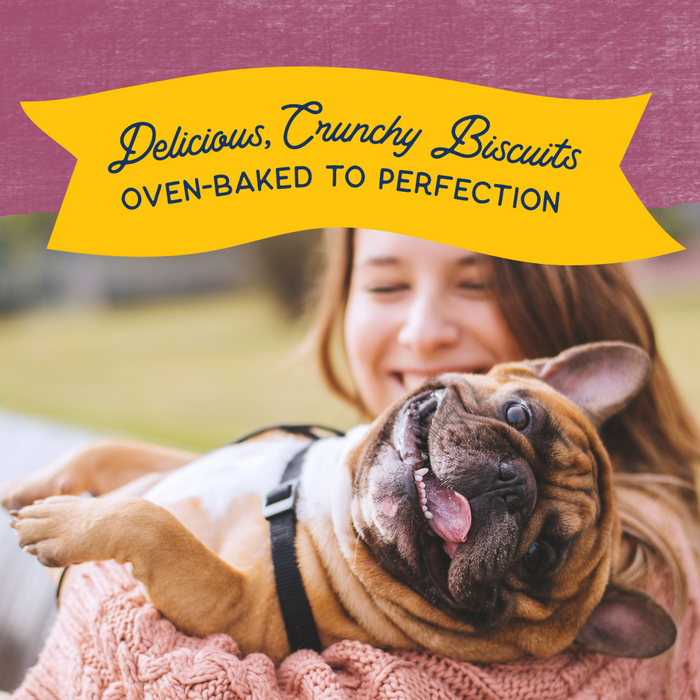 Natural Balance Rewards Crunchy Biscuits With Real Venison Dog Treats