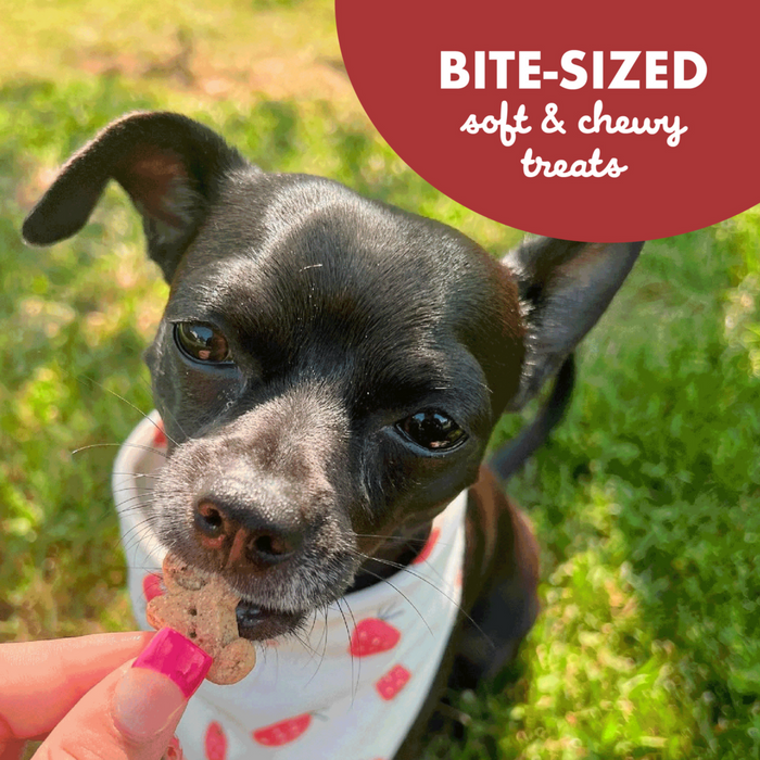 Buddy Biscuits Softies Soft & Chewy Grain Free Beef Dog Treats