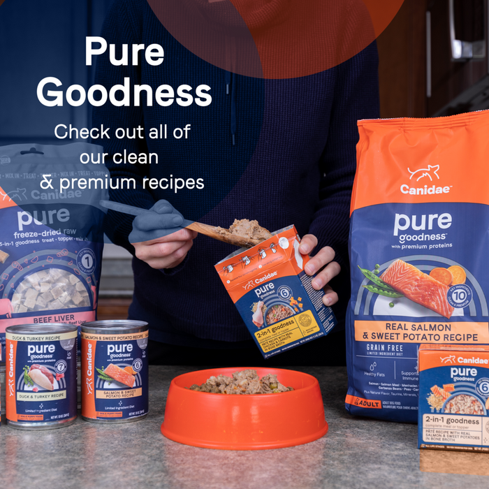 Canidae Grain Free PURE Heaven Biscuits with Salmon and Sweet Potato Dog Treats