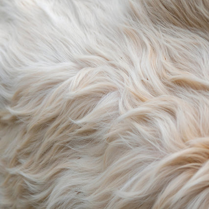 Skin & Coat CareClose-up of wavy, fluffy, light beige fur texture. The soft, flowing strands create a sense of warmth and comfort, evoking coziness and tenderness.