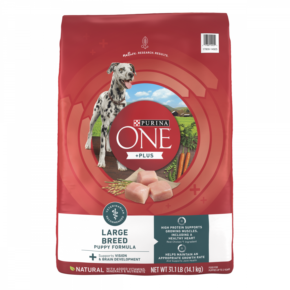Purina ONE Healthy Puppy Chicken Recipe Dry Dog Food — Concord Pet Foods &  Supplies